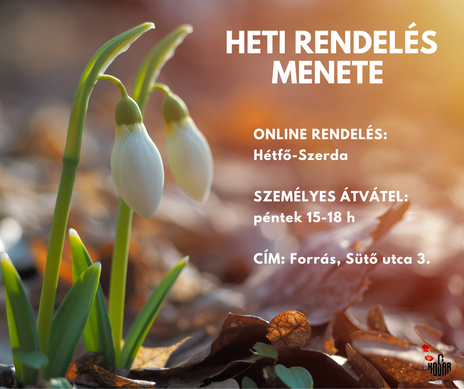Rendelés menete