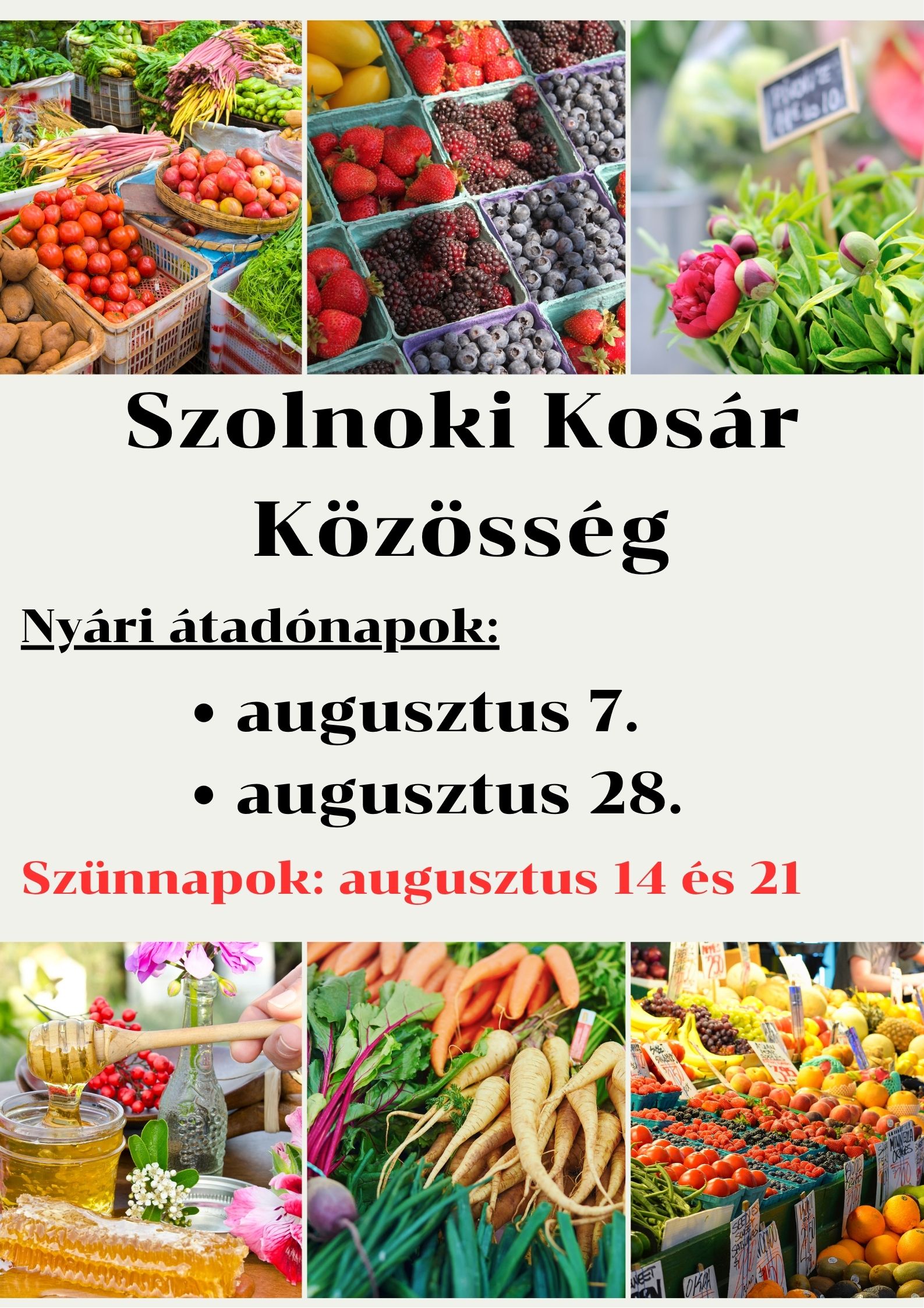 Aktuális projekt